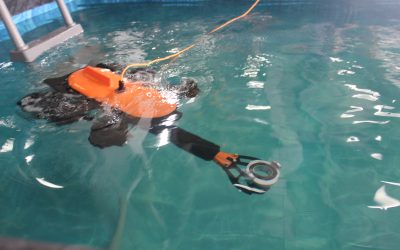 «Морская Гвардия»: Курсанты МЧС осваивают беспилотные аппараты и водное оборудование для спасения на воде